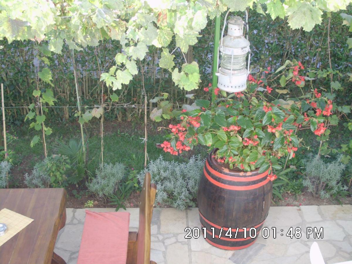 Mara * Porec